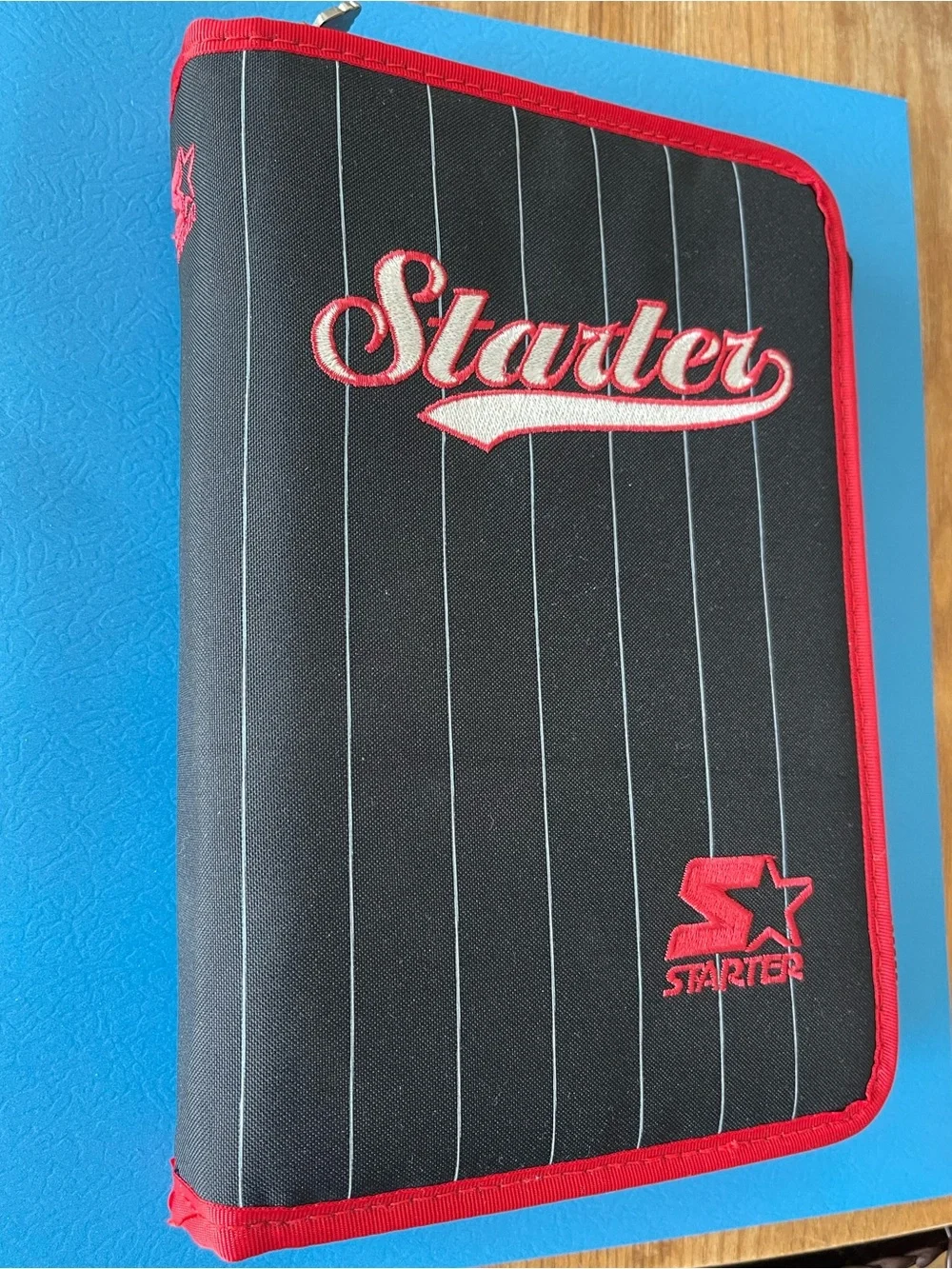 Vintage 90’s STARTER Black Pinstripe Zip Case Planner with Embroidered Logo